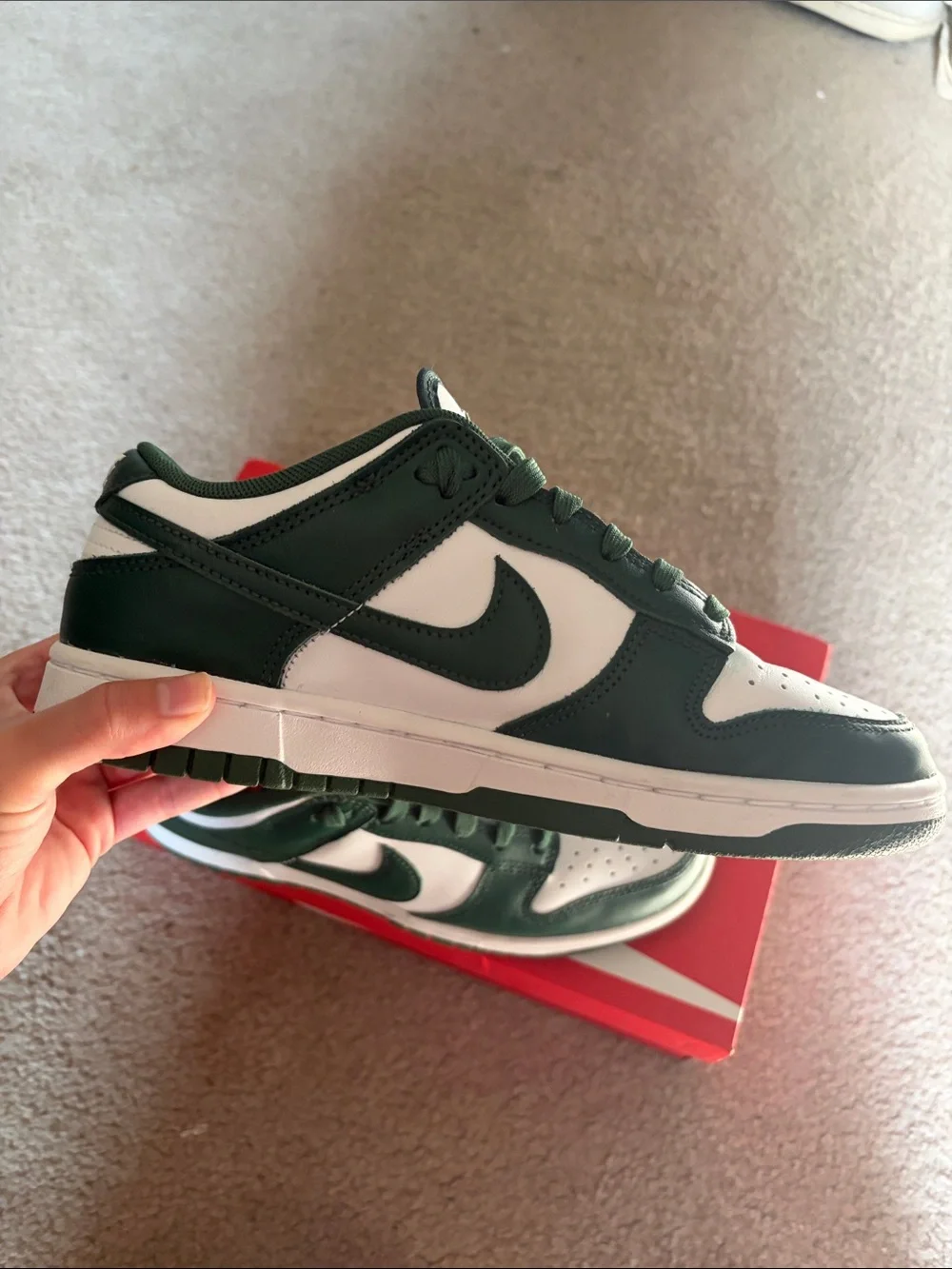 Nike Michigan State Dunks